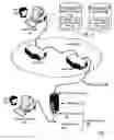 Fig. 02 - Sharing computer data among computers