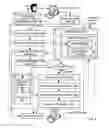 Fig. 07 - Sharing computer data among computers