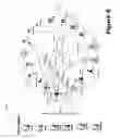 Fig. 06 - Relationship data management