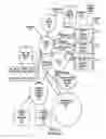 Fig. 03 - Web services archive