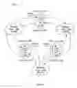 Fig. 08 - Method and apparatus for transcoding and transrating in distributed video systems