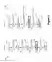 Fig. 04 - Apparatus and method for integrated functional built-in self test for an ASIC
