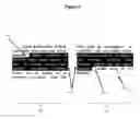Fig. 04 - Persistent adjustable text selector