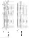 Fig. 03 - REDUCTION OF GRAPHICAL CLUTTER IN COMPUTER DISPLAYS