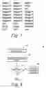 Fig. 07 - Non-graphical model dependencies in graphical modeling environments