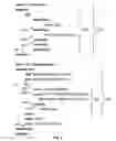 Fig. 03 - Dynamic software enhancement