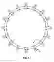 Fig. 06 - Lock-free double-ended queue based on a dynamic ring