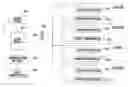 Fig. 01 - Broadcast signal retransmission system and method using illuminating visible-light communication