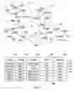 Fig. 02 - Analyzing security compliance within a network
