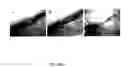 Fig. 10 - HUMAN DISEASE MODELING USING SOMATIC GENE TRANSFER