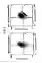 Fig. 04 - Suppression of xenotransplant rejection