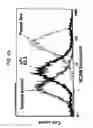 Fig. 06 - Suppression of xenotransplant rejection
