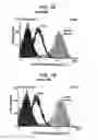 Fig. 07 - Suppression of xenotransplant rejection