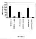 Fig. 08 - Amylases, nucleic acids encoding them and methods for making and using them