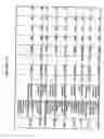 Fig. 149 - Amylases, nucleic acids encoding them and methods for making and using them
