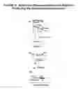 Fig. 04 - Promoter sequence obtained from rice and methods of use