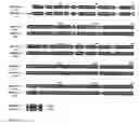 Fig. 03 - Biochemical route to astaxanthin