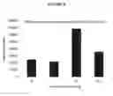 Fig. 09 - Methods and Compositions for Increasing The Nitrogen Storage Capacity of A Plant