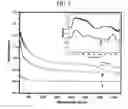 Fig. 04 - Carbon nanotube functionalized with osmium clusters and process for preparing same