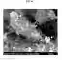 Fig. 07 - Carbon nanotube functionalized with osmium clusters and process for preparing same