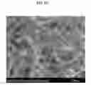Fig. 08 - Carbon nanotube functionalized with osmium clusters and process for preparing same