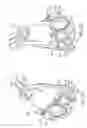 Fig. 19 - Headgear connection assembly for a respiratory mask assembly