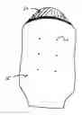 Fig. 01 - Engineered toweling