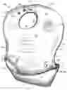 Fig. 01 - Bib with an improved pocket