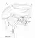 Fig. 15 - Head Gear Fitting System