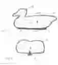 Fig. 02 - Decoy with protective coating