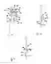 Fig. 09 - Slider window assembly