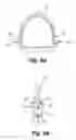 Fig. 08 - Safety stirrup