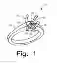 Fig. 02 - Ring setting
