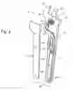 Fig. 03 - Powered adjustable wrench