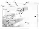 Fig. 01 - Protective shield