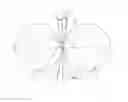 Fig. 04 - Multi-helicoidal applicator brush