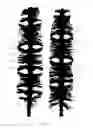 Fig. 14 - Multi-helicoidal applicator brush