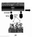 Fig. 01 - Bio-sensitized solar cells (BSSC)