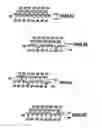 Fig. 07 - Machine direction yarn stitched triple layer papermaker's forming fabrics