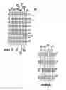 Fig. 22 - Machine direction yarn stitched triple layer papermaker's forming fabrics
