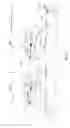 Fig. 05 - Multi-layer web formation section