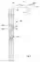 Fig. 06 - Zone isolation assembly array for isolating a plurality of fluid zones in a subsurface well