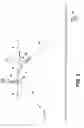Fig. 07 - Systems, methods and apparatus for transmission line re-conductoring