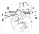 Fig. 06 - Device for managing termination of conductors with jack modules