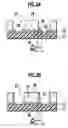 Fig. 05 - Printed wiring board and production method thereof