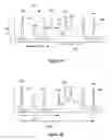Fig. 06 - Analyte Identification in Transformed Electropherograms