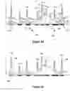 Fig. 08 - Analyte Identification in Transformed Electropherograms