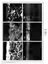 Fig. 04 - Anodized substrate layer with solid lubricant