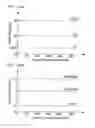 Fig. 20 - Plating apparatus and method for controlling plating solution