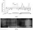 Fig. 04 - Tin and tin alloy electroplating method with controlled internal stress and grain size of the resulting deposit